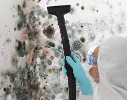 Why You Should Choose Our Mold Remediation Services in Rockville, MD